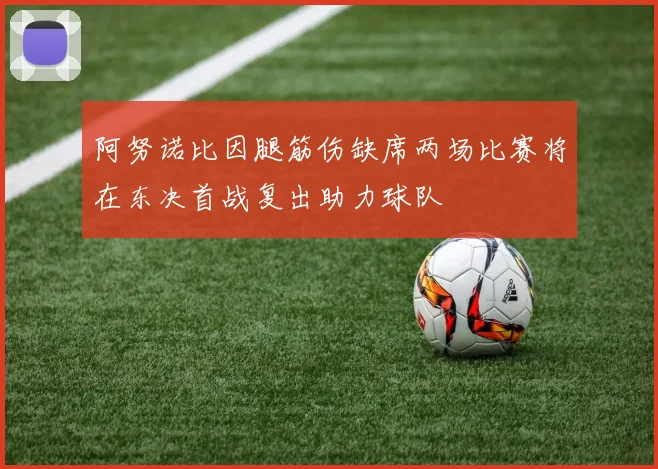 阿努诺比因腿筋伤缺席两场比赛将在东决首战复出助力球队