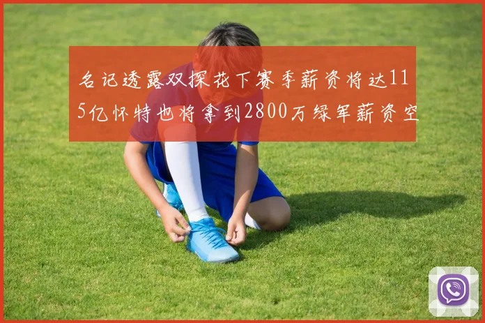 名记透露双探花下赛季薪资将达115亿怀特也将拿到2800万绿军薪资空间依旧紧张