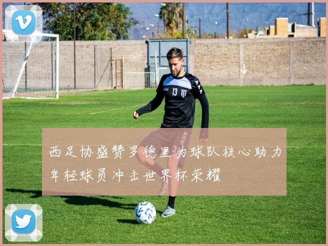 西足协盛赞罗德里为球队核心助力年轻球员冲击世界杯荣耀